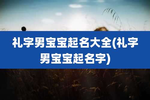 礼字男宝宝起名大全(礼字男宝宝起名字)