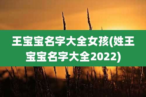 王宝宝名字大全女孩(姓王宝宝名字大全2022)