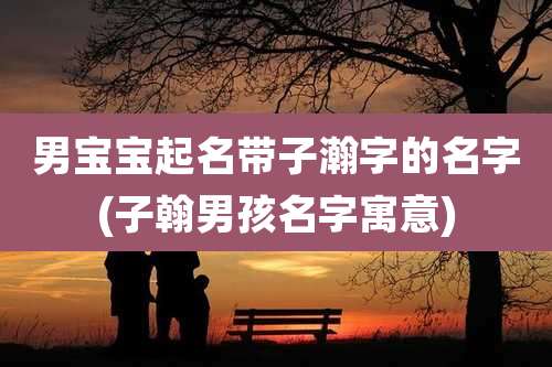 男宝宝起名带子瀚字的名字(子翰男孩名字寓意)