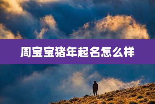 周宝宝猪年起名怎么样