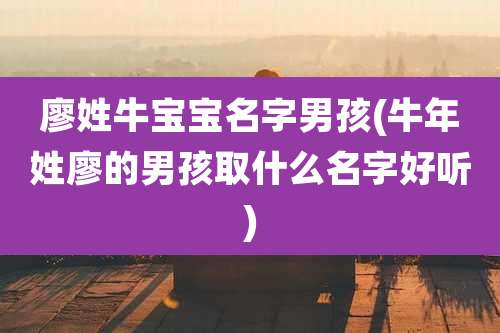 廖姓牛宝宝名字男孩(牛年姓廖的男孩取什么名字好听)