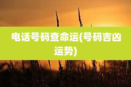 电话号码查命运(号码吉凶运势)
