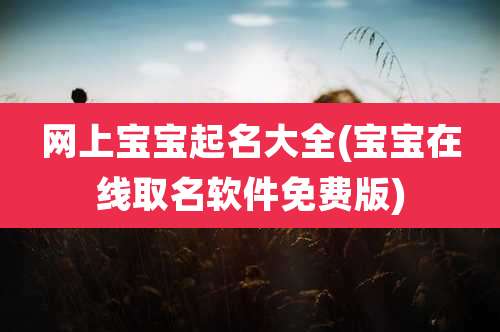 网上宝宝起名大全(宝宝在线取名软件免费版)