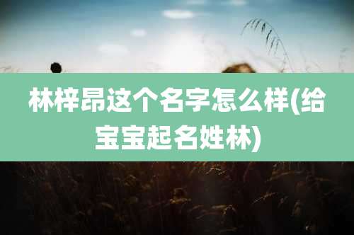 林梓昂这个名字怎么样(给宝宝起名姓林)