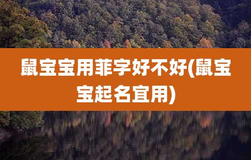 鼠宝宝用菲字好不好(鼠宝宝起名宜用)