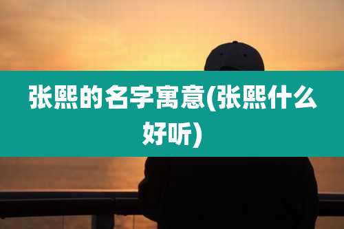 张熙的名字寓意(张熙什么好听)