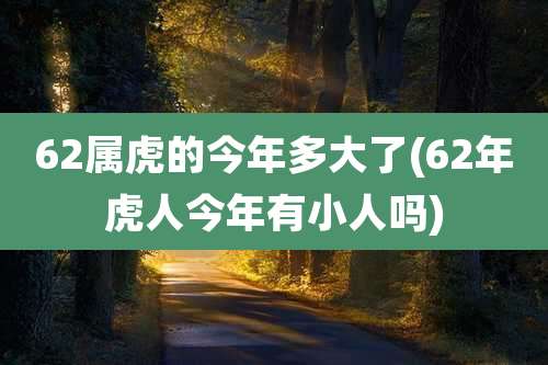 62属虎的今年多大了(62年虎人今年有小人吗)