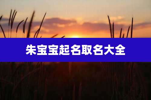 朱宝宝起名取名大全