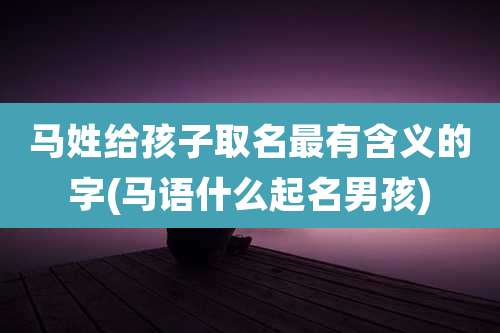 马姓给孩子取名最有含义的字(马语什么起名男孩)