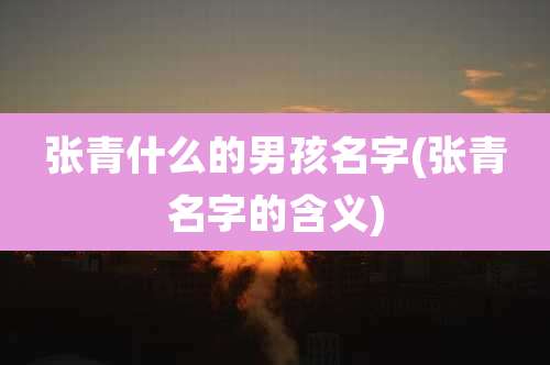 张青什么的男孩名字(张青名字的含义)