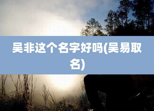吴非这个名字好吗(吴易取名)