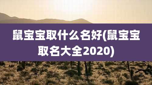 鼠宝宝取什么名好(鼠宝宝取名大全2020)
