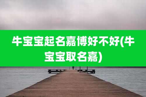 牛宝宝起名嘉博好不好(牛宝宝取名嘉)