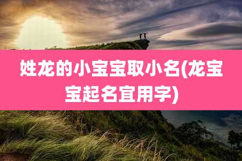 姓龙的小宝宝取小名(龙宝宝起名宜用字)