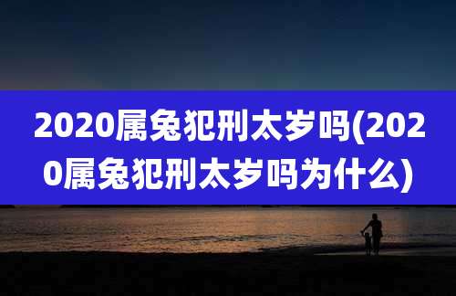 2020属兔犯刑太岁吗(2020属兔犯刑太岁吗为什么)