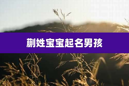 蒯姓宝宝起名男孩