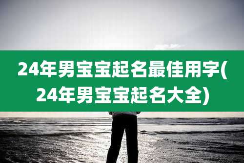 24年男宝宝起名最佳用字(24年男宝宝起名大全)