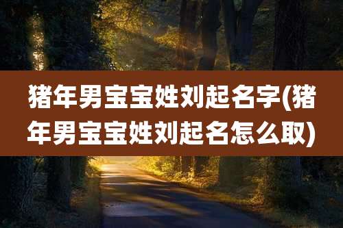 猪年男宝宝姓刘起名字(猪年男宝宝姓刘起名怎么取)