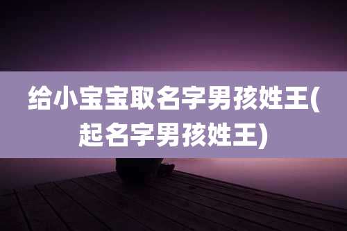 给小宝宝取名字男孩姓王(起名字男孩姓王)