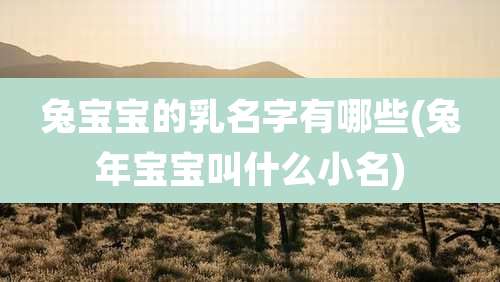 兔宝宝的乳名字有哪些(兔年宝宝叫什么小名)