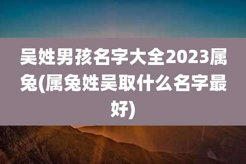 吴姓男孩名字大全2023属兔(属兔姓吴取什么名字最好)