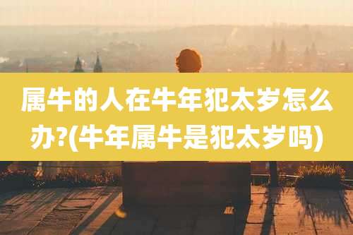 属牛的人在牛年犯太岁怎么办?(牛年属牛是犯太岁吗)