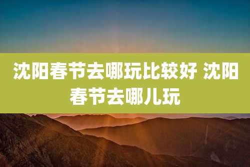 沈阳春节去哪玩比较好 沈阳春节去哪儿玩