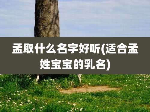 孟取什么名字好听(适合孟姓宝宝的乳名)