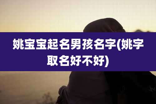 姚宝宝起名男孩名字(姚字取名好不好)