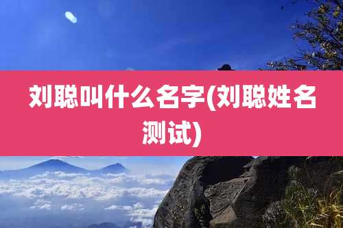 刘聪叫什么名字(刘聪姓名测试)