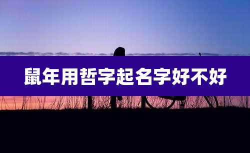 鼠年用哲字起名字好不好
