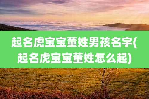 起名虎宝宝董姓男孩名字(起名虎宝宝董姓怎么起)