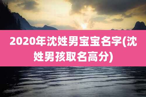 2020年沈姓男宝宝名字(沈姓男孩取名高分)