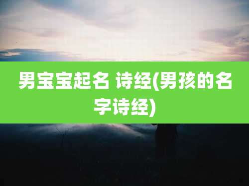 男宝宝起名 诗经(男孩的名字诗经)