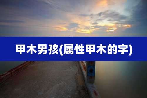 甲木男孩(属性甲木的字)