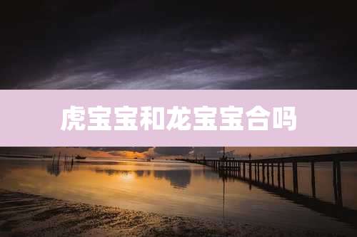 虎宝宝和龙宝宝合吗