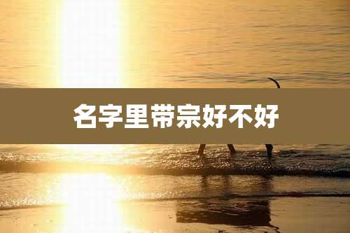 名字里带宗好不好
