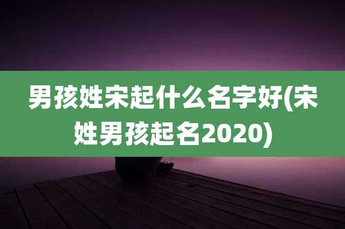男孩姓宋起什么名字好(宋姓男孩起名2020)