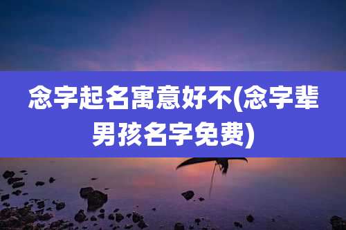 念字起名寓意好不(念字辈男孩名字免费)