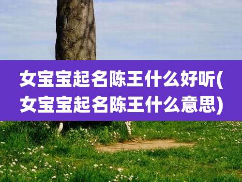 女宝宝起名陈王什么好听(女宝宝起名陈王什么意思)