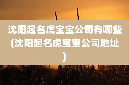 沈阳起名虎宝宝公司有哪些(沈阳起名虎宝宝公司地址)