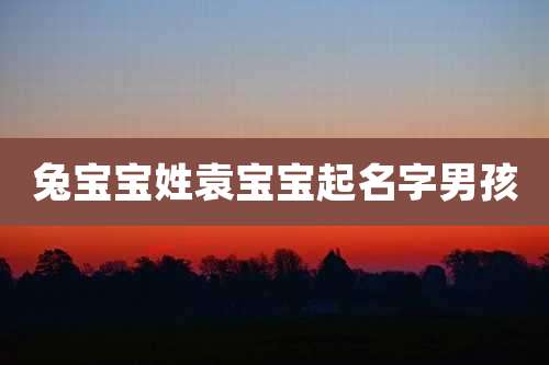 兔宝宝姓袁宝宝起名字男孩