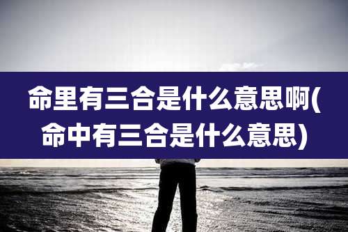 命里有三合是什么意思啊(命中有三合是什么意思)