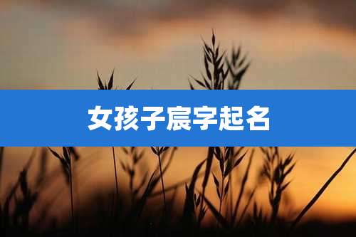女孩子宸字起名