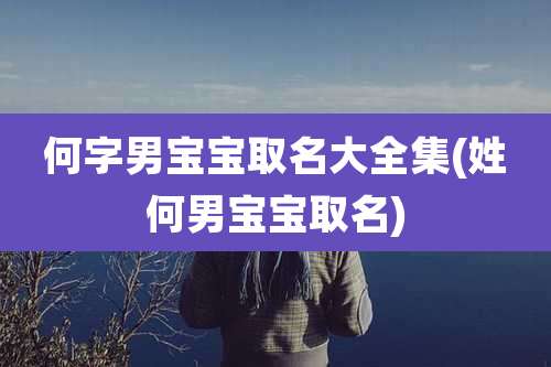何字男宝宝取名大全集(姓何男宝宝取名)