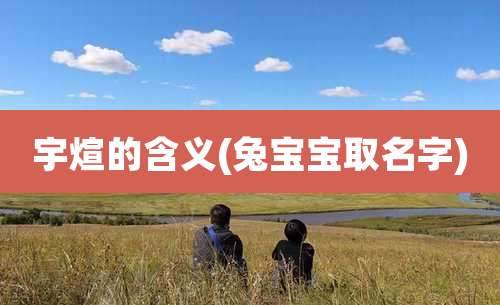 宇煊的含义(兔宝宝取名字)