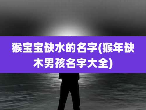 猴宝宝缺水的名字(猴年缺木男孩名字大全)