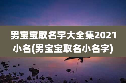 男宝宝取名字大全集2021小名(男宝宝取名小名字)