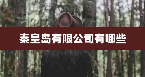 秦皇岛有限公司有哪些