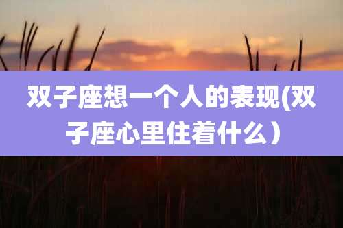 双子座想一个人的表现(双子座心里住着什么)